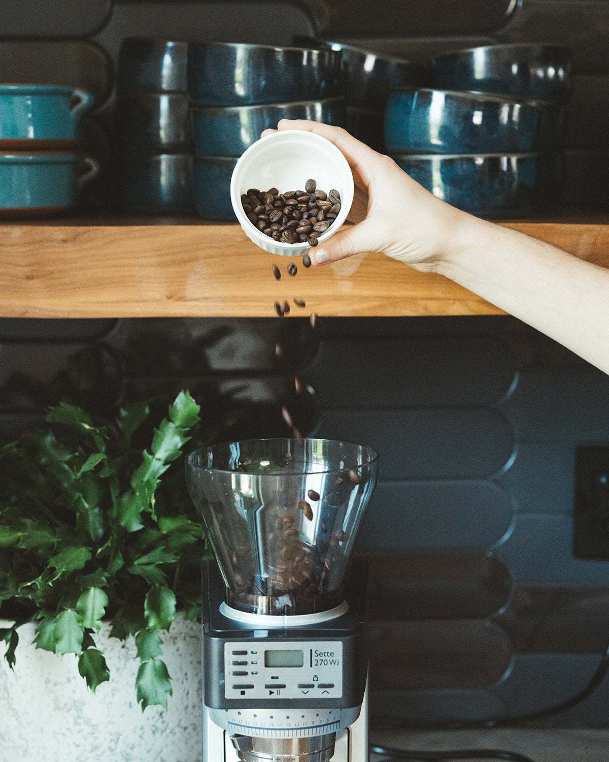 Hand pouring Synastry coffee beans into a grinder with kitchen background and blue ceramic bowls.