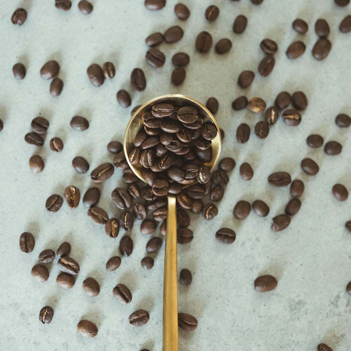 Luna Nueva specialty-grade Mexican coffee beans on gold spoon with scattered beans on marble background