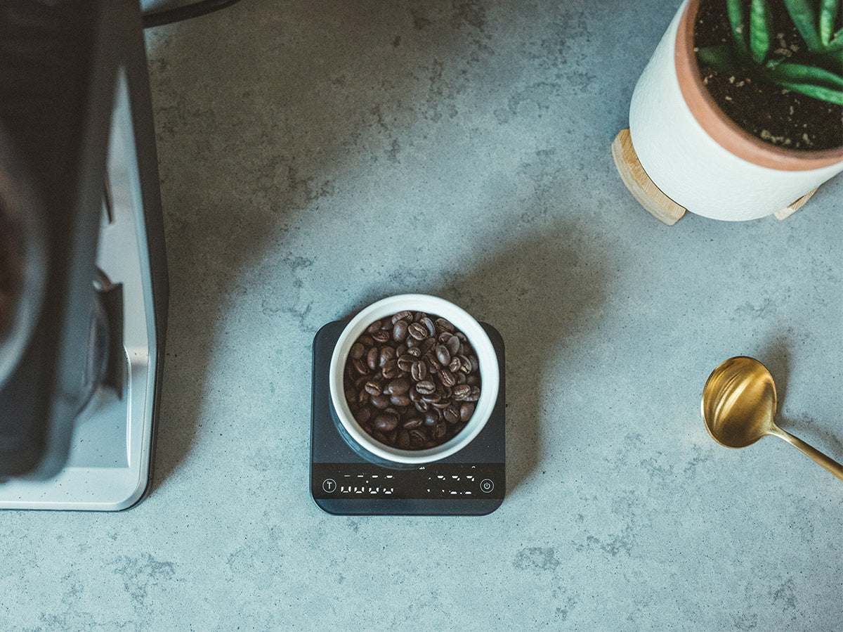 Hypnos decaf coffee beans in a white cup on a digital scale on a gray countertop with a gold spoon and a potted plant nearby