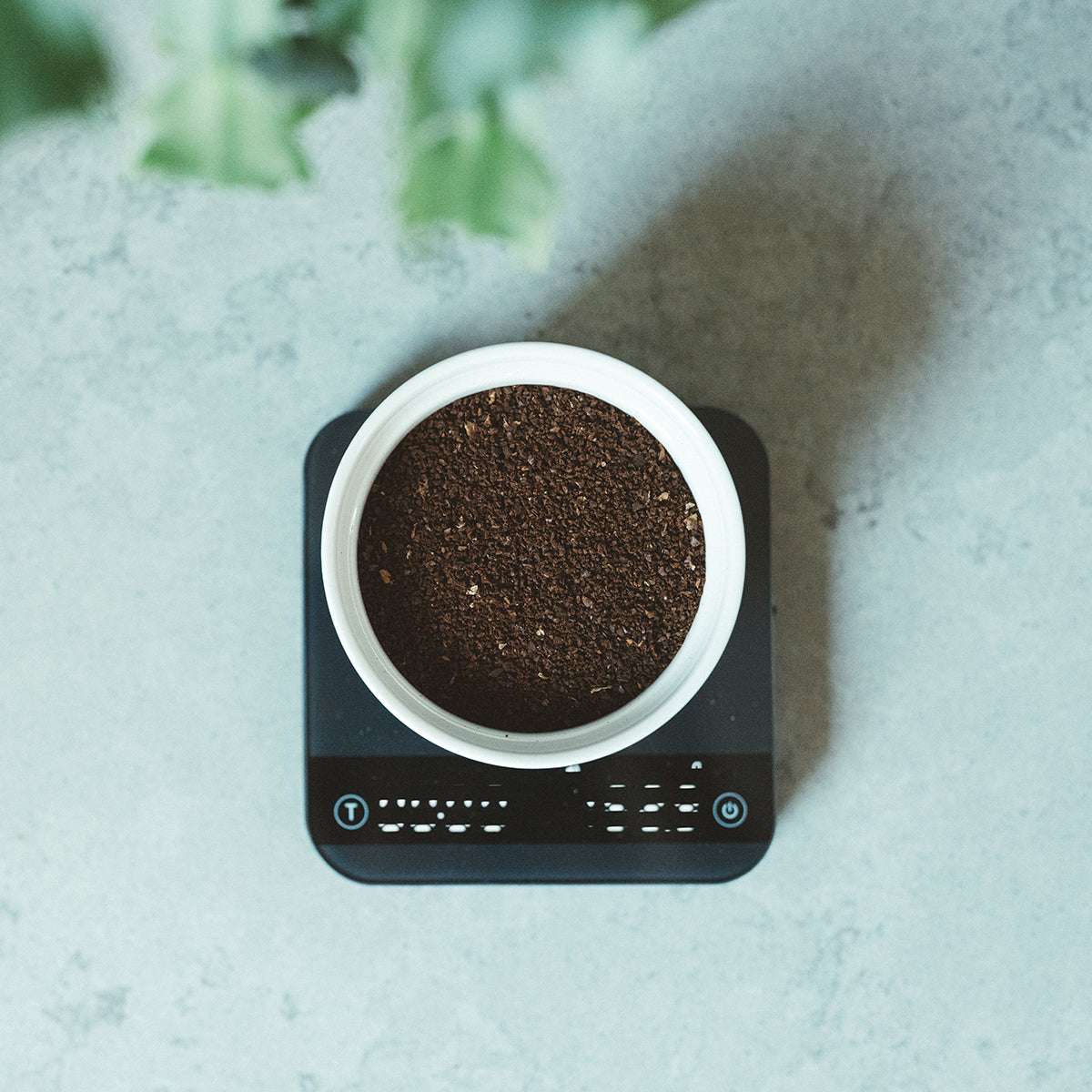 Ground coffee in white container on digital scale showcasing Synastry blend with Colombian and Ethiopian beans