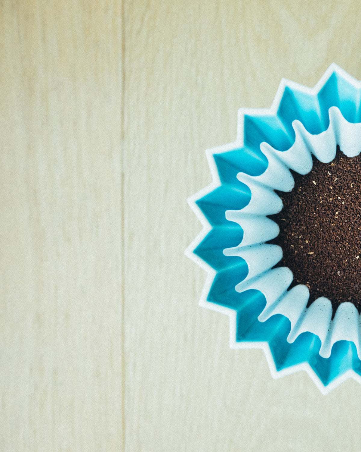 Luna Nueva specialty-grade Mexican coffee grounds in a blue filter for drip brew.