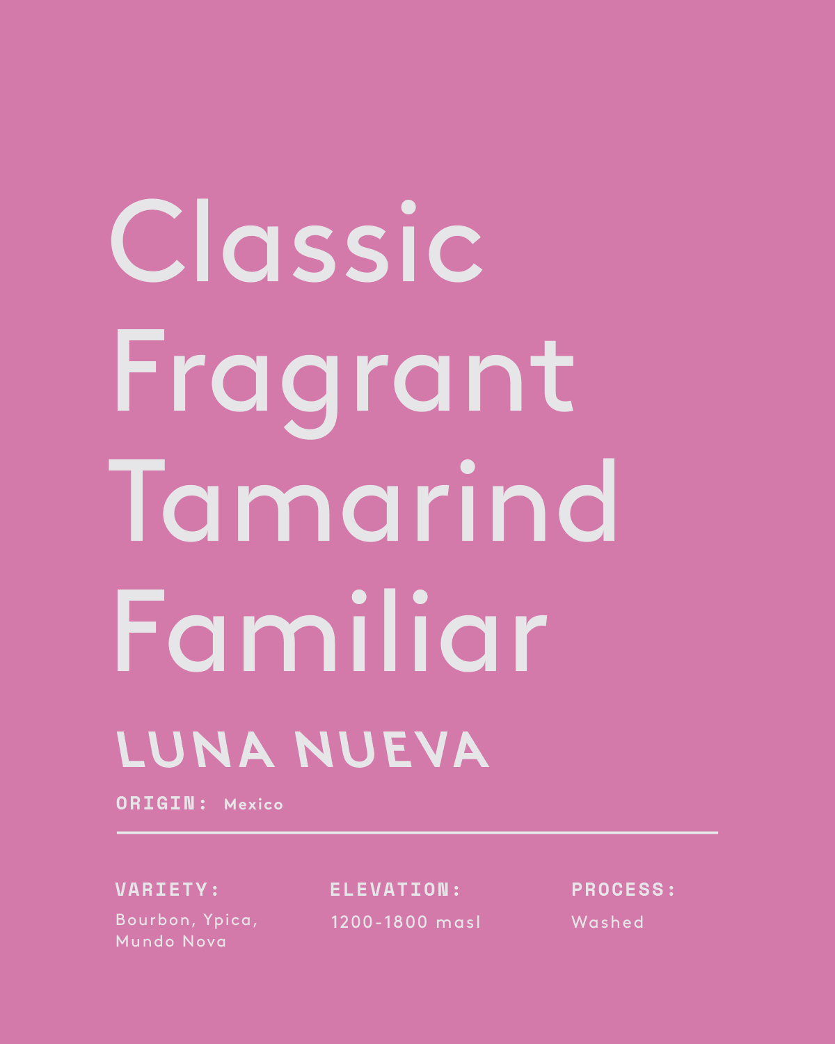 Luna Nueva specialty coffee from Mexico with nutty sweetness, cedar, clove, tamarind flavors, smooth and balanced profile.
