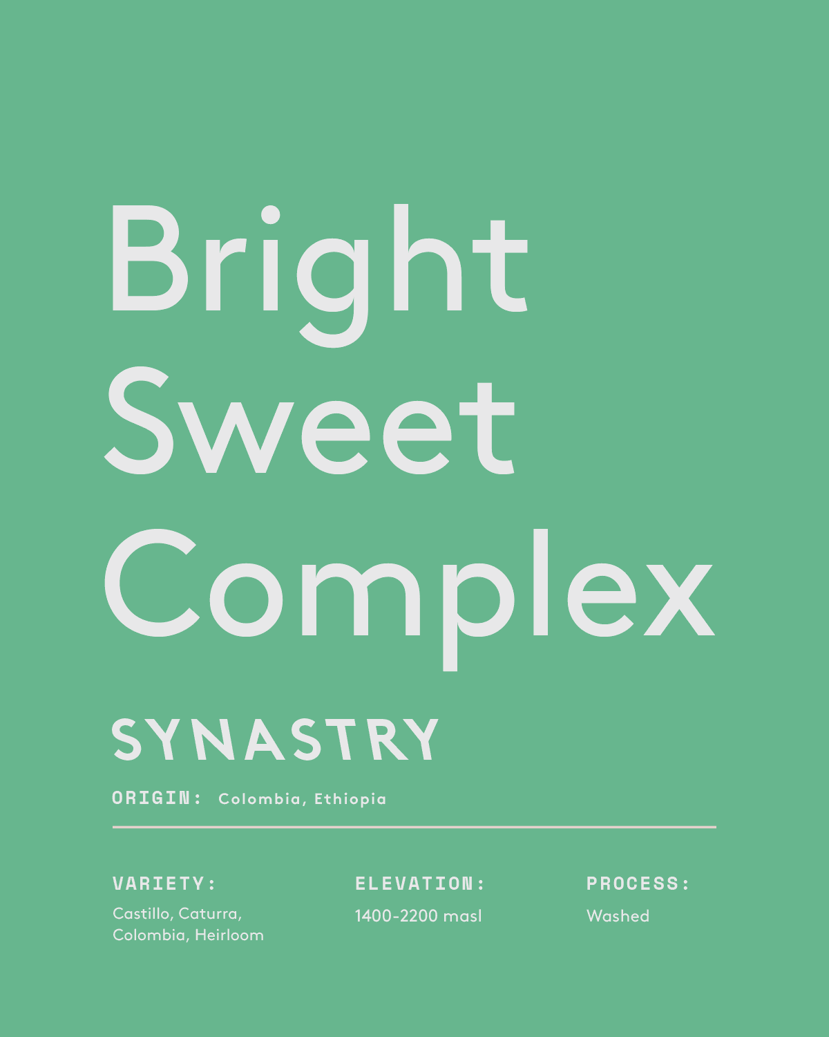 Synastry coffee blend with bright, sweet, and complex flavors from washed Castillo and Ethiopian heirloom beans.