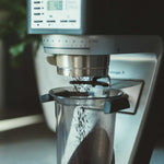 Espiritu San Luis coffee beans grinding