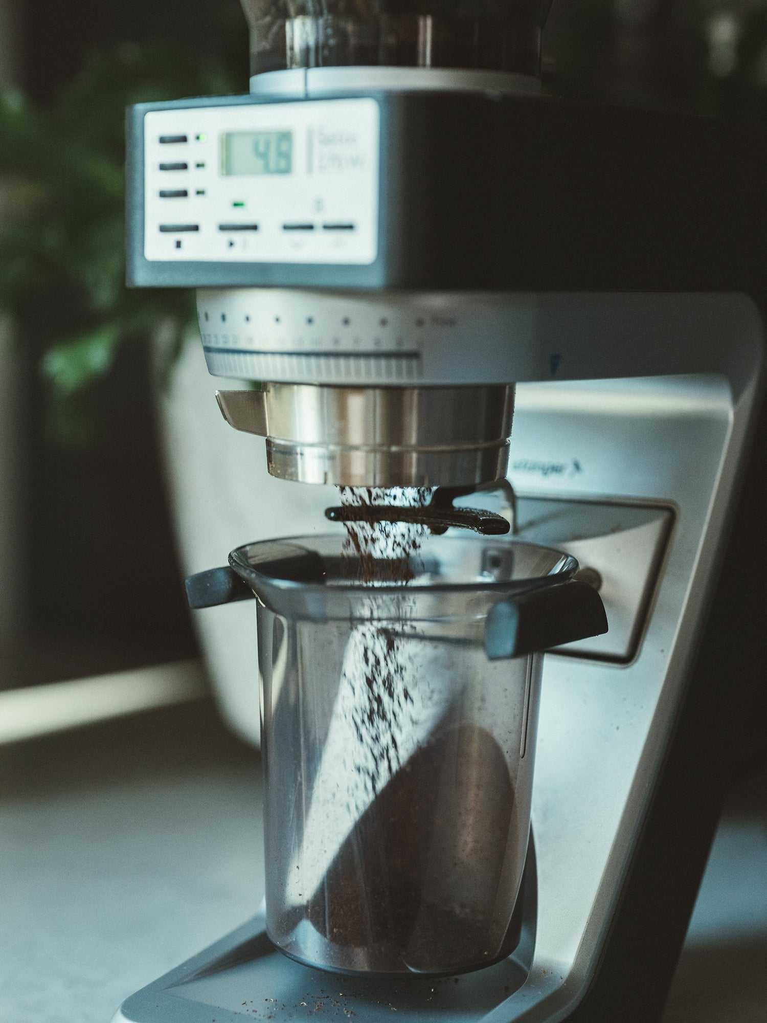 Espiritu San Luis coffee beans grinding