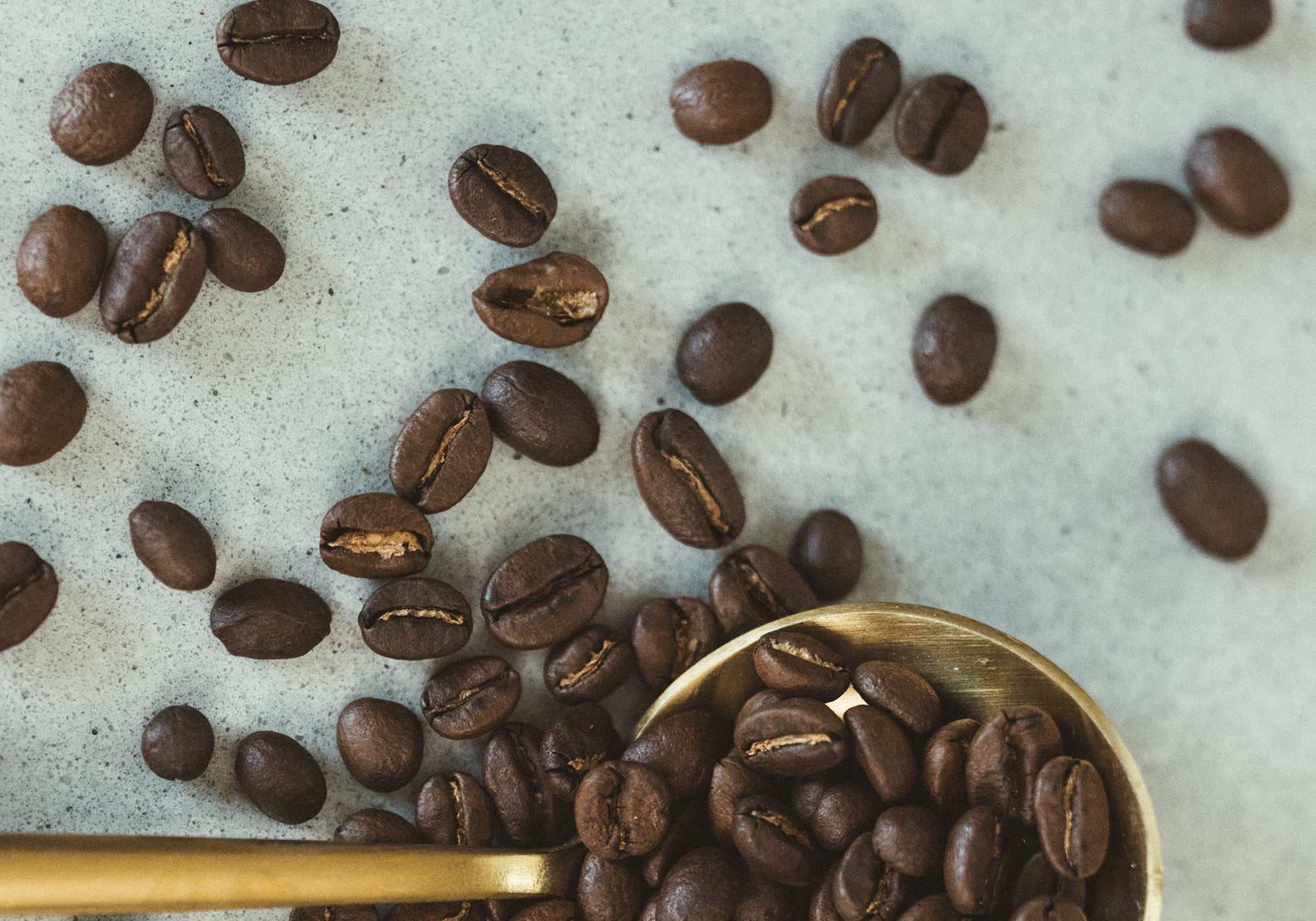 Espiritu San Luis coffee beans